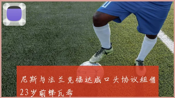尼斯与法兰克福达成口头协议租借23岁前锋瓦希