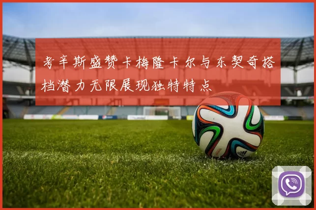 考辛斯盛赞卡梅隆卡尔与东契奇搭档潜力无限展现独特特点