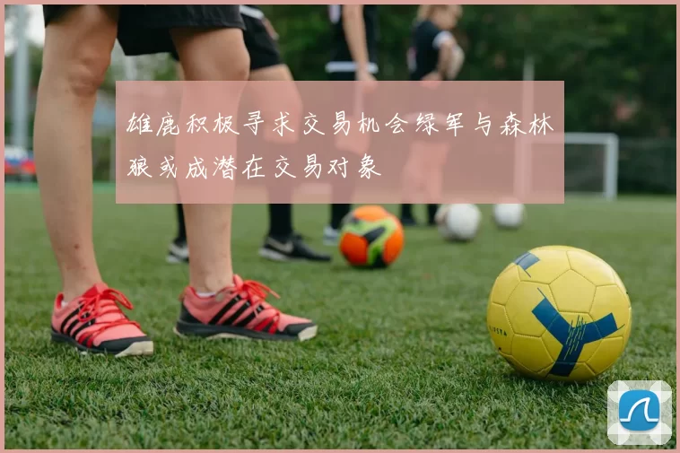 雄鹿积极寻求交易机会绿军与森林狼或成潜在交易对象